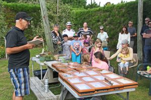 Children learning about bugs.